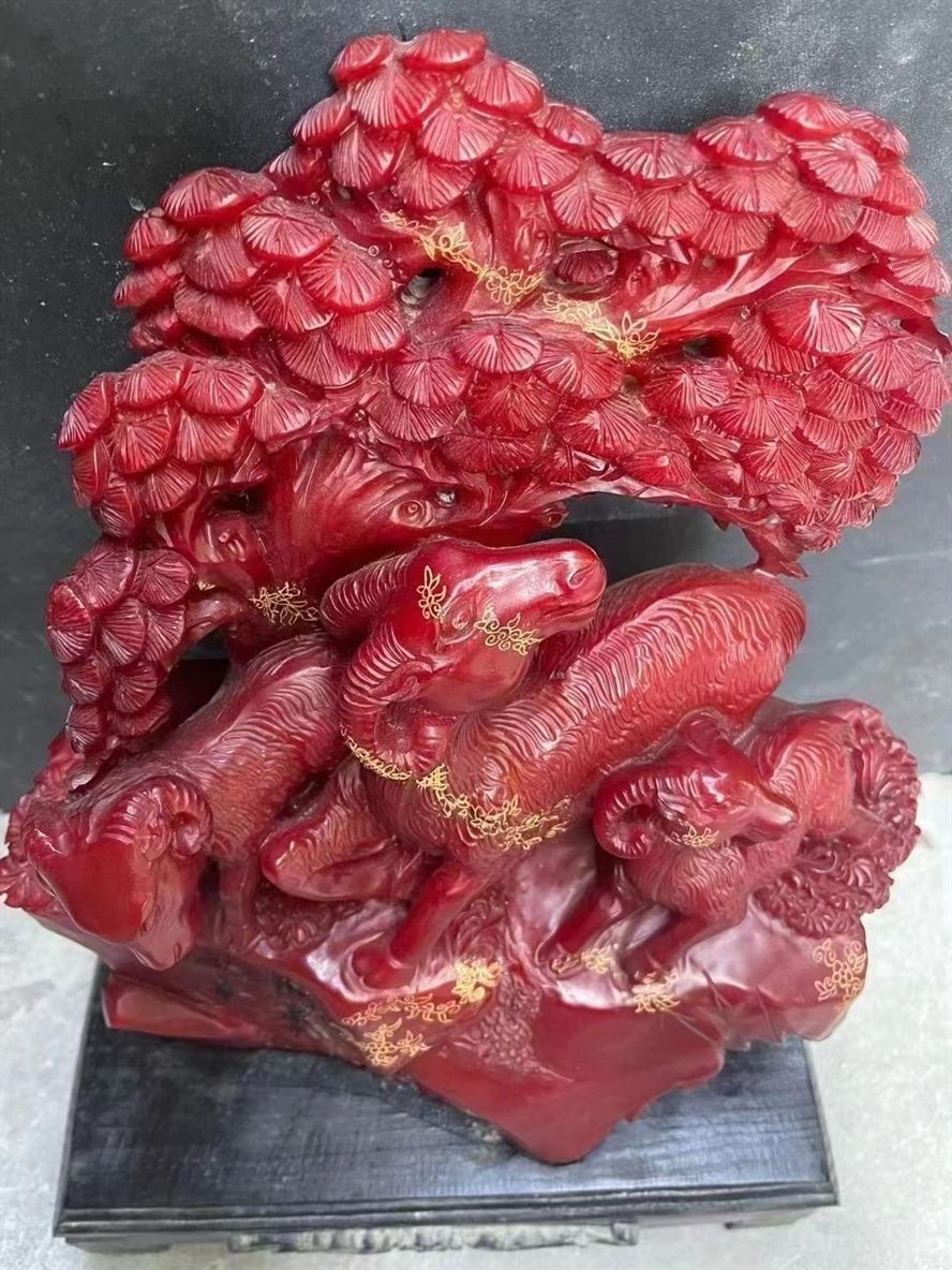 杭州觀賞魚漁場排名前十（杭州哪里看魚）