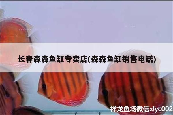 長春森森魚缸專賣店(森森魚缸銷售電話)