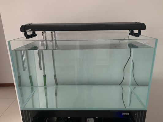 四紋虎魚缸布局設計案例，四紋虎魚缸布局設計案例展示