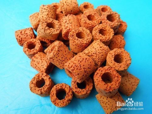四紋虎混養(yǎng)硝化細(xì)菌培養(yǎng)技巧，四紋虎混養(yǎng)水族箱硝化細(xì)菌培養(yǎng)基自制方法 四紋虎混養(yǎng)硝化細(xì)菌培養(yǎng)技巧，四紋虎混養(yǎng)水族箱硝化細(xì)菌培養(yǎng)基自制方法 虎魚百科 第7張