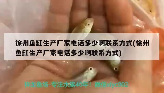 龍魚魚缸廠家電話號碼查詢，如何查詢龍魚魚缸廠家電話號碼 龍魚魚缸廠家電話號碼查詢，如何查詢龍魚魚缸廠家電話號碼 魚缸百科 第6張