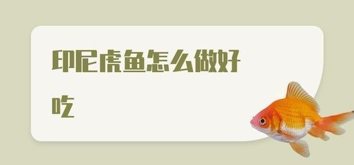 四紋虎魚飼料與活餌的營養(yǎng)對比，四紋虎魚飼料和活餌在營養(yǎng)成分上有一定的相似性