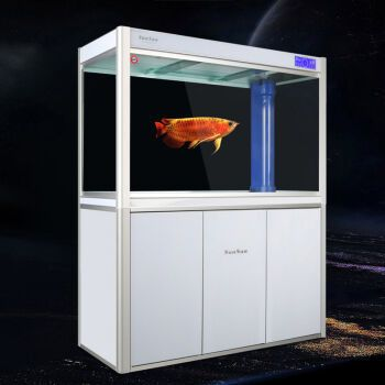 龍魚缸尺寸，關于龍魚缸的理想尺寸