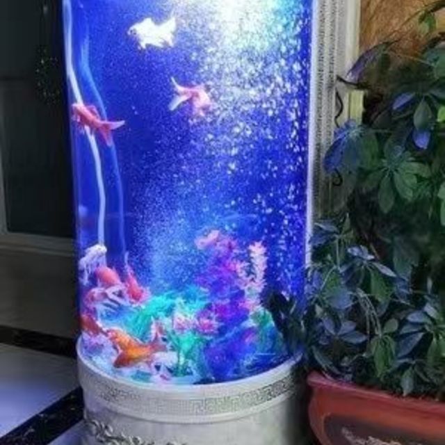 魔魚（MOMOYOO）魚缸，魔魚觀山斗魚缸mini的價格