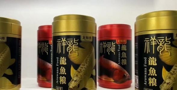 詳細閱讀:龍魚專用飼料:祥龍魚場紅龍魚專用增色飼料:祥龍魚場紅龍魚專用增色飼料 龍魚專用飼料:祥龍魚場紅龍魚專用增色飼料:祥龍魚場紅龍魚專用增色飼料