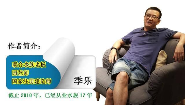 最招財山水風景圖片，風水美學與財富能量的完美結合，招財山水畫，風水美學與財富能量的絕佳融合