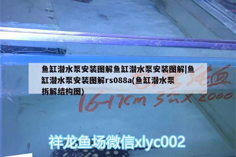 魚缸潛水泵安裝圖解魚缸潛水泵安裝圖解|魚缸潛水泵安裝圖解rs088a(魚缸潛水泵拆解結構圖)