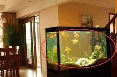 魚缸氧氣泵不出氧氣視頻講解，如何正確安裝氧氣泵氣管堵塞清理技巧魚缸氧氣泵維護周期