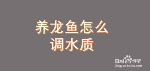 龍魚缸水質不好怎么處理方法，如何判斷龍魚缸需換水 龍魚缸水質不好怎么處理方法，如何判斷龍魚缸需換水 魚缸百科 第5張