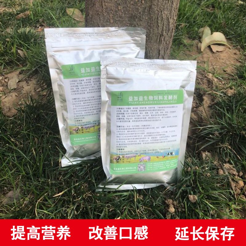 戰船魚最忌3種魚，混養禁忌與科學飼養指南，戰船魚混養三大禁忌與科學飼養全攻略