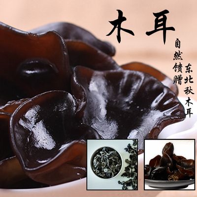 戰船魚最忌3種魚，混養禁忌與科學飼養指南，戰船魚混養三大禁忌與科學飼養全攻略