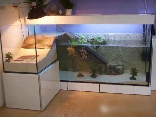 魚缸最好的擺放位置，魚缸與家居風水關(guān)系如何選擇魚缸擺放位置