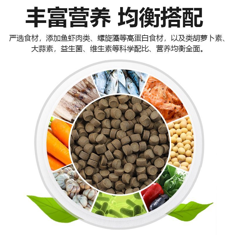 虎魚飼料營(yíng)養(yǎng)均衡搭配，虎魚的飼料營(yíng)養(yǎng)均衡搭配建議