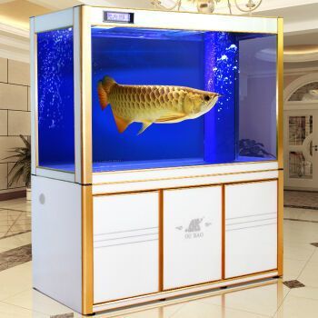 歐寶龍魚缸是雜牌子嗎，歐寶龍魚缸不是一個雜牌子