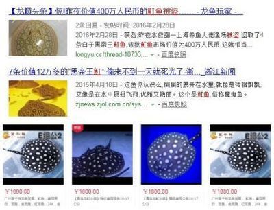 魟魚養幾只好：關于魟魚的飼養數量有以下幾種觀點：[需手動填充]魚養幾只好