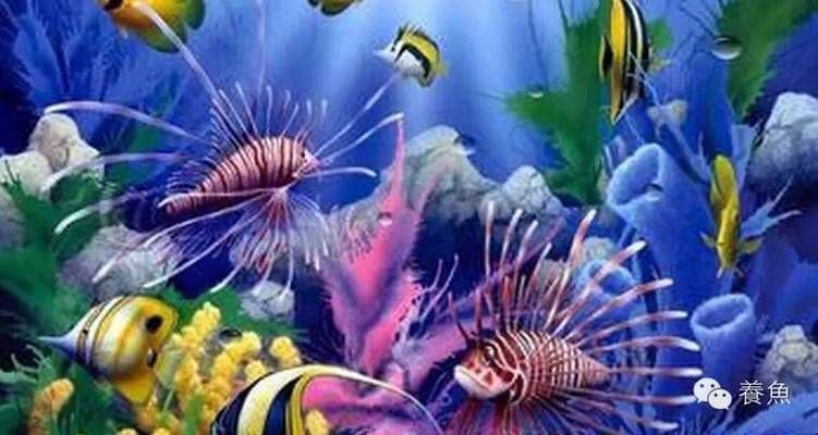 熱帶魚混養水溫控制技巧，混養熱帶魚時，水溫控制是關鍵