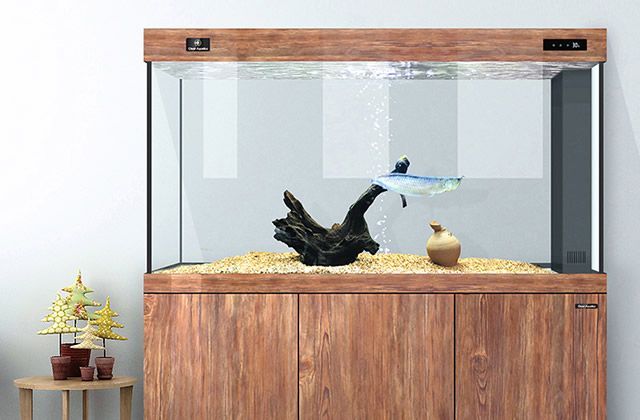 可麗愛魚缸的優點有哪些，可麗愛魚缸與其他品牌的比較如何選購可麗愛魚缸的用戶評價匯總
