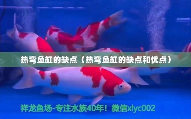 熱彎魚缸能用幾年嗎，如何正確維護熱彎魚缸延長壽命