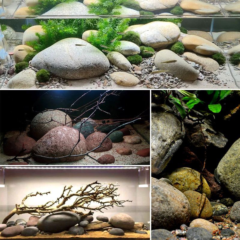 龍魚缸石頭造景，龍魚缸石頭造景是一種既實用又具有觀賞價值的設計方法