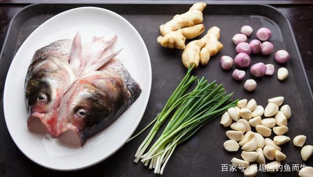 混養中層魚的食性協調方法，如何通過混養中層魚的食性協調混養中層魚的水質管理方法 混養中層魚的食性協調方法，如何通過混養中層魚的食性協調混養中層魚的水質管理方法 虎魚百科 第4張