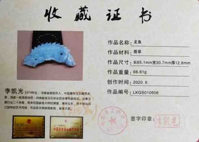 龍魚缸設計圖，龍魚缸過濾系統選型指南