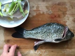 揭陽觀賞魚養(yǎng)殖基地電話號碼多少（揭陽魚苗批發(fā)市場） 揭陽觀賞魚養(yǎng)殖基地電話號碼多少（揭陽魚苗批發(fā)市場） 魚缸百科 第3張