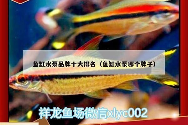 質量好的魚缸水泵排名，德力西水泵售后服務海利hailea水泵品牌性價比排行