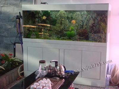 龍魚缸設(shè)計(jì)圖片大全,龍魚缸設(shè)計(jì)圖片大全水族展覽龍魚缸設(shè)計(jì)尺寸指南 魚缸百科 第2張 龍魚缸設(shè)計(jì)圖片大全,龍魚缸設(shè)計(jì)圖片大全水族展覽龍魚缸設(shè)計(jì)尺寸指南 龍魚缸設(shè)計(jì)圖片大全,龍魚缸設(shè)計(jì)圖片大全水族展覽龍魚缸設(shè)計(jì)尺寸指南 魚缸百科 第2張