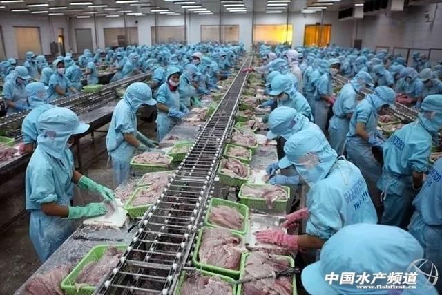麒麟正確擺放圖片指南，風水布局與象征意義，麒麟擺放風水圖解，正確位置與吉祥寓意全指南 麒麟正確擺放圖片指南，風水布局與象征意義，麒麟擺放風水圖解，正確位置與吉祥寓意全指南 龍魚百科 第2張