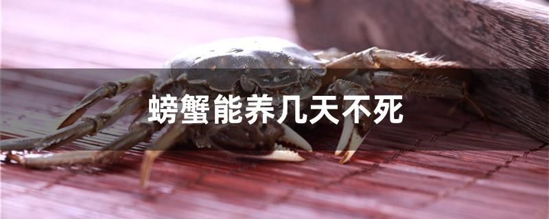 螃蟹能養幾天不死
