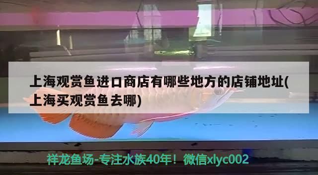 龍魚魚缸過濾系統圖解說明書，龍魚過濾系統圖解說明書
