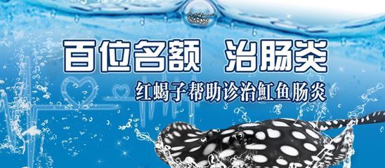 魟魚腸炎綠便：魟魚腸炎綠便便可能是腸炎的一種表現魟魚腸炎綠便便