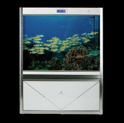 可麗愛(ài)魚(yú)缸安裝說(shuō)明書(shū)視頻，南魚(yú)缸過(guò)濾系統(tǒng)選擇技巧