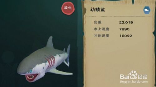 鯊魚飼料選擇與搭配,《創(chuàng)造與魔法》鯊魚飼料選擇與搭配方案,鯊魚飼料選擇與搭配方案 虎魚百科 第5張 鯊魚飼料選擇與搭配,《創(chuàng)造與魔法》鯊魚飼料選擇與搭配方案,鯊魚飼料選擇與搭配方案 鯊魚飼料選擇與搭配,《創(chuàng)造與魔法》鯊魚飼料選擇與搭配方案,鯊魚飼料選擇與搭配方案 虎魚百科 第5張