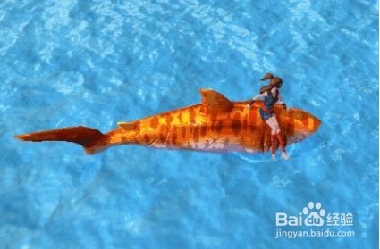 鯊魚飼料選擇與搭配,《創(chuàng)造與魔法》鯊魚飼料選擇與搭配方案,鯊魚飼料選擇與搭配方案 虎魚百科 第6張 鯊魚飼料選擇與搭配,《創(chuàng)造與魔法》鯊魚飼料選擇與搭配方案,鯊魚飼料選擇與搭配方案 鯊魚飼料選擇與搭配,《創(chuàng)造與魔法》鯊魚飼料選擇與搭配方案,鯊魚飼料選擇與搭配方案 虎魚百科 第6張
