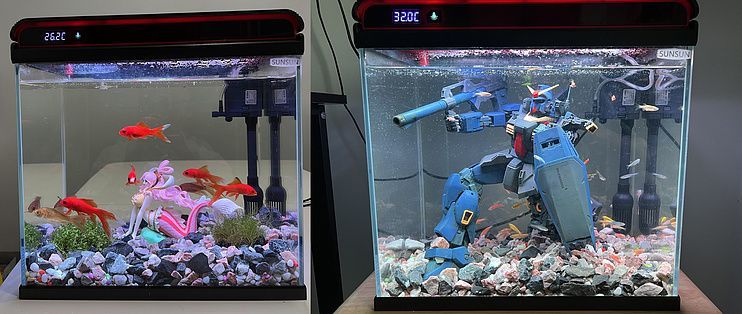 桌面魚缸，桌面魚缸適合養(yǎng)什么魚