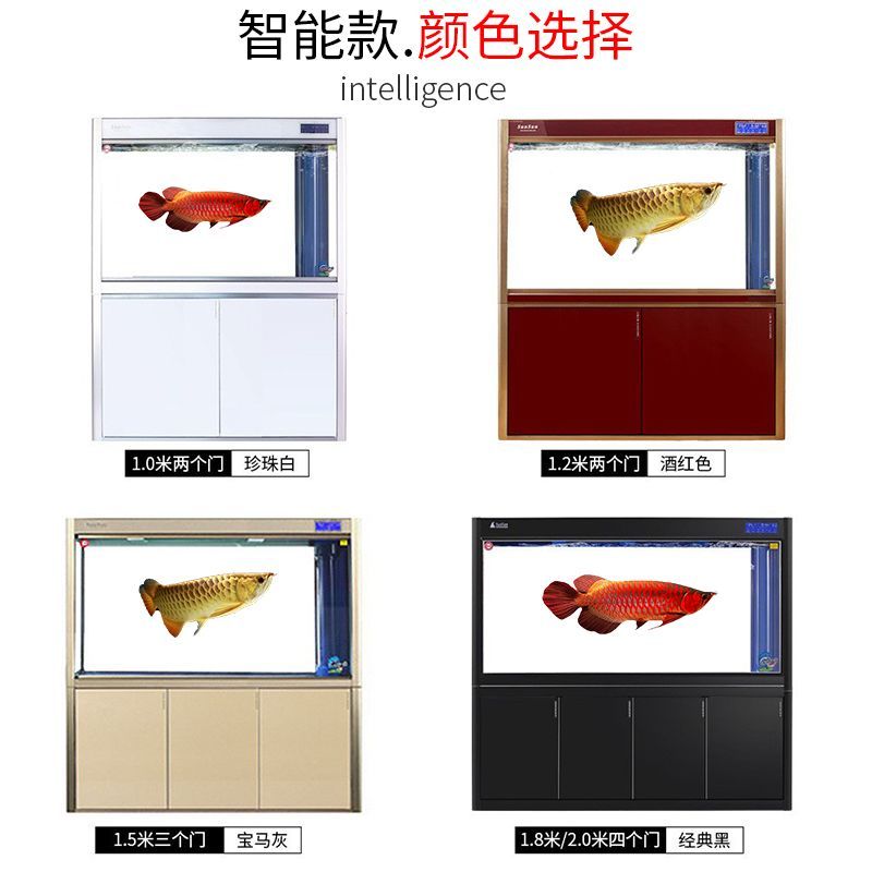 龍魚缸底部什么顏色好看