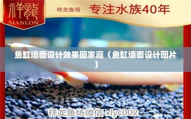 金龍魚魚缸背景墻效果圖，金龍魚魚缸背景墻效果圖魚缸與書墻結合設計案例詳解