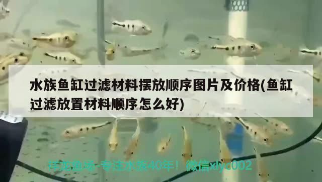 金龍魚魚缸過濾材料擺放順序，金龍魚魚缸的過濾材料擺放順序
