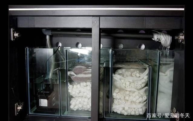 金龍魚魚缸過濾材料擺放順序，金龍魚魚缸的過濾材料擺放順序
