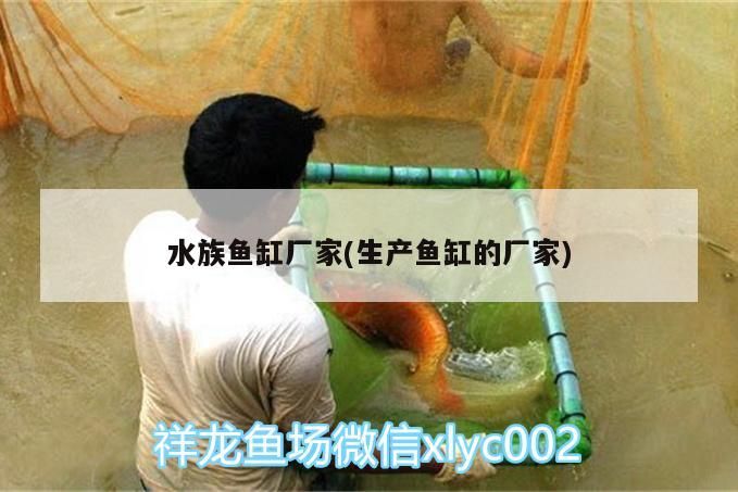 水族魚缸廠家(生產魚缸的廠家)