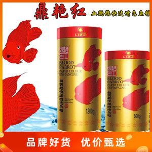 元寶鳳凰魚專用魚糧品牌推薦：元寶鳳凰魚專用魚糧品牌 元寶鳳凰魚專用魚糧品牌推薦：元寶鳳凰魚專用魚糧品牌 元寶鳳凰魚百科 第6張