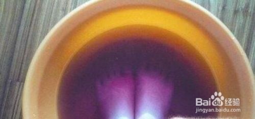 最稀有的雷龍魚是什么：探秘最稀有的雷龍魚，水中珍奇異獸的神秘面紗