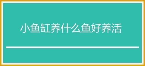 桌面魚缸適合養什么魚好，桌面魚缸養魚水質維護方法 桌面魚缸適合養什么魚好，桌面魚缸養魚水質維護方法 魚缸百科 第7張