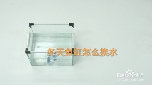 魚缸要換水嗎？，如何判斷魚缸水質好壞？ 魚缸要換水嗎？，如何判斷魚缸水質好壞？ 魚缸百科 第4張