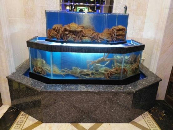 凡賽爾（VERSAILLE-CAVE）魚缸，凡賽爾（versaille-cave）魚缸具體信息