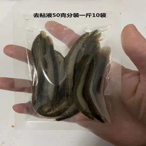 魟魚的價格與品種介紹：魟魚價格與品種介紹