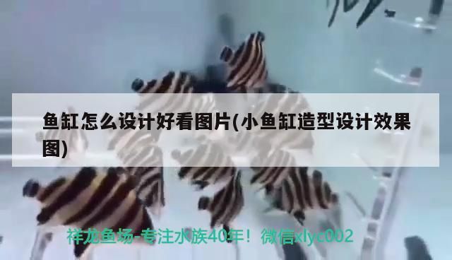 魚缸怎么設計好看圖片(小魚缸造型設計效果圖)