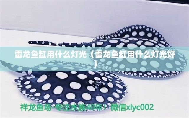 雷龍魚缸燈光一直開著行嗎，雷龍魚缸燈光一直開著可行嗎