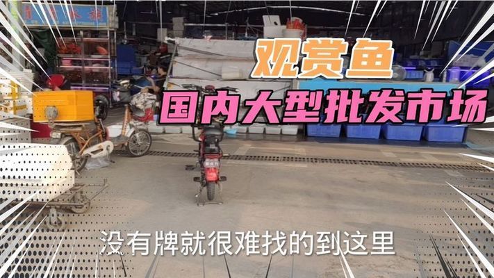 木質魚缸架子怎么做的（魚缸底柜怎么做）